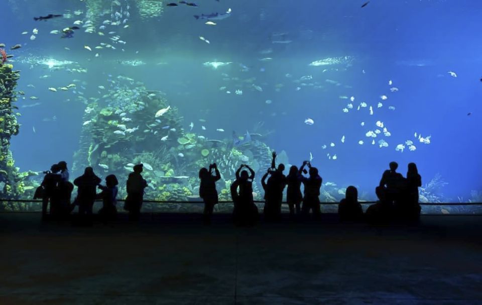 Mazatlan: Grand Aquarium Ticket and City Sightseeing Tour - Aquarium Experiences