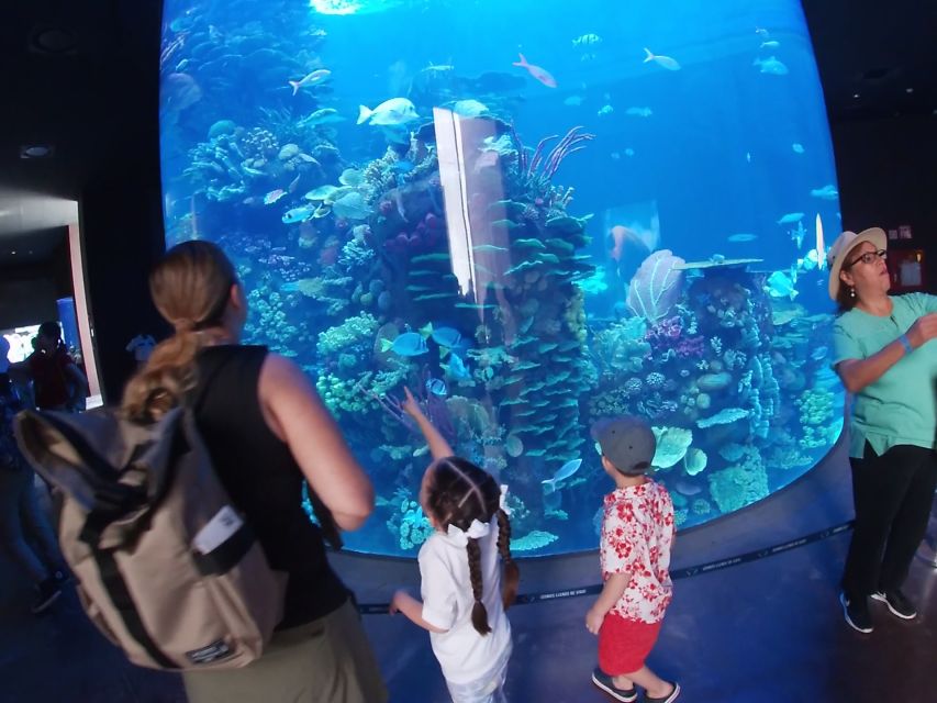 Mazatlan: Grand Aquarium Ticket and City Sightseeing Tour - Aquarium Admission