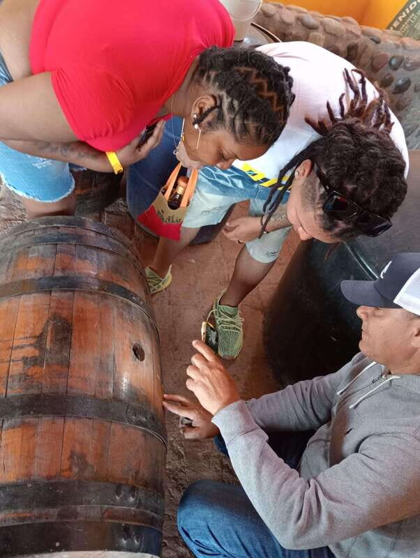 Mazatlan: Mezcal Factory Tour with Tasting and Lunch - Who Is This Tour Best For?