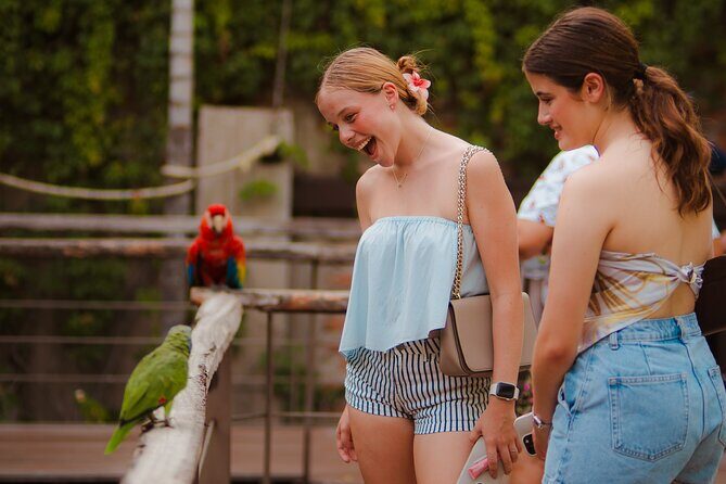 Mazatlan Observatorio 1873 Ticket and Pass - An In-Depth Look at the Tour