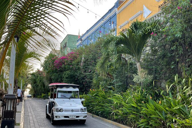 Mazatlan Pulmonia Experience - An In-Depth Look at the Mazatlan Pulmonia Experience