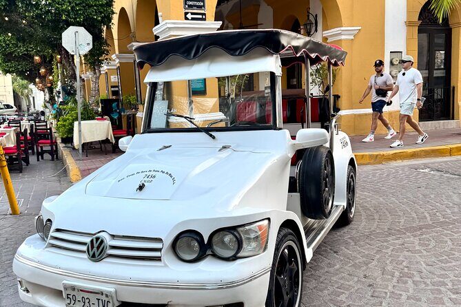 Mazatlan Pulmonia Experience - Final Summary