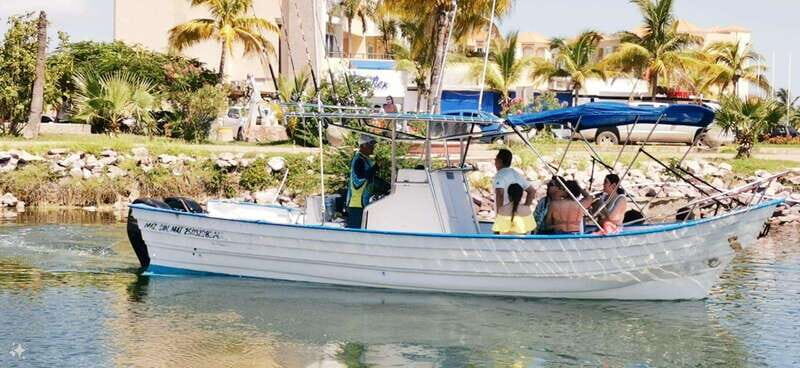 Mazatlan: Sea lions and snorkeling - Practical Tips for Travelers