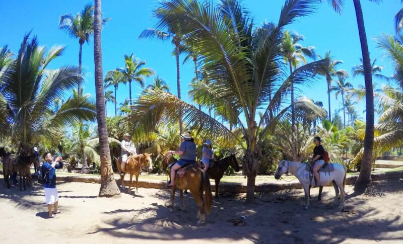 Mazatlan: Sightseeing and Beach All-Inclusive Tour - Who Will Love This Tour?