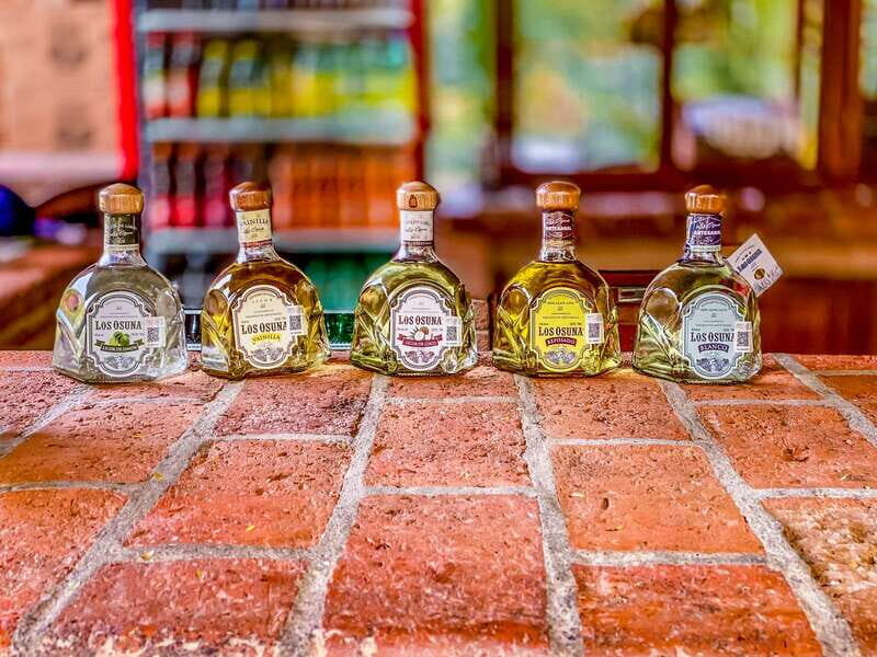 Mazatlán: Tequila Factory & Country Sightseeing - Transportation & Group Size