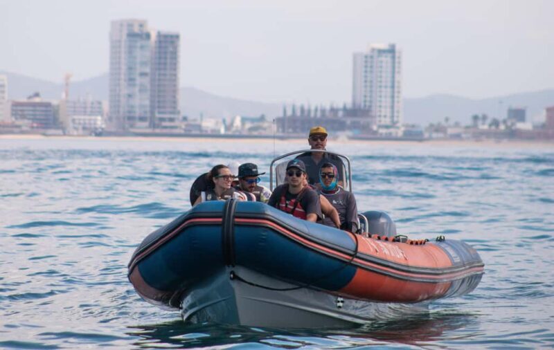 Mazatlán: Whale-Watching Boat Tour with Marine Experts - A Detailed Look at the Experience