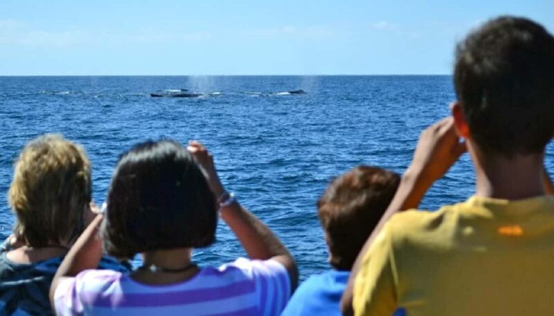Mazatlán: Whale-Watching Boat Tour with Marine Experts - FAQs