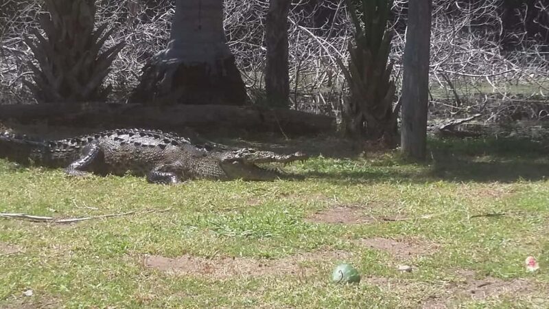 Mazunte-Ventanilla and Zipolite Ecotour - Discover Oaxaca’s Coasts with the Mazunte-Ventanilla and Zipolite Ecotour