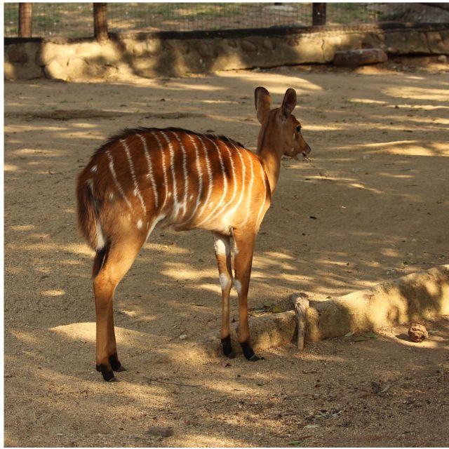 Mbombela: Blyde River Canyon & Moholoholo Wildlife Centre - Exploring the Blyde River Canyon