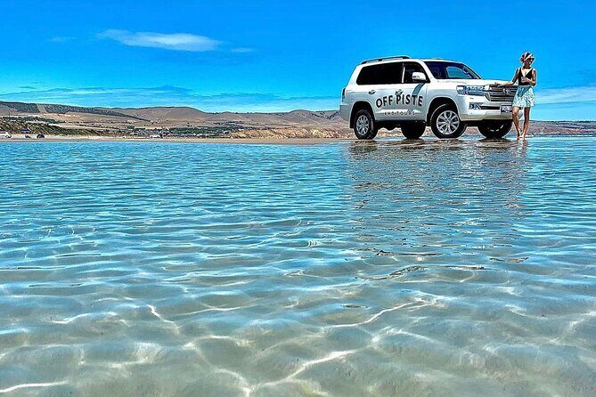 McLaren Vale 4x4 Premium Food and Wine Tour with Private Lunch - Final Thoughts