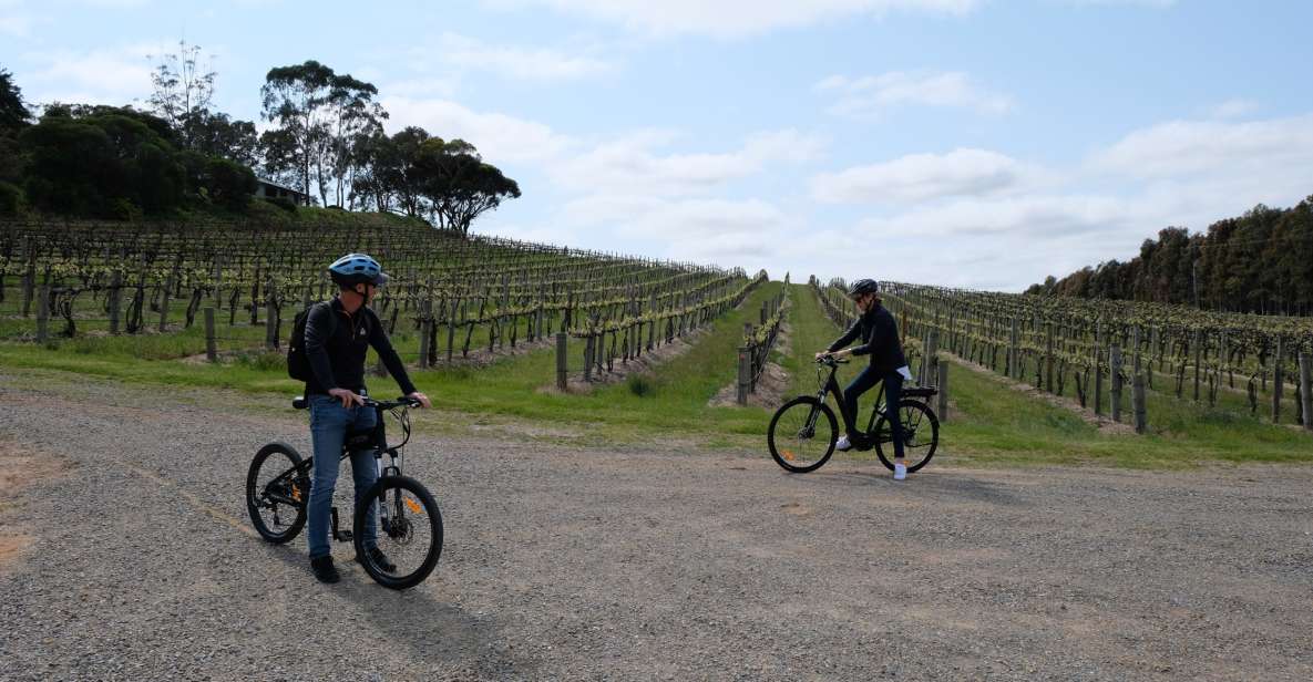 McLaren Vale: E-Bike Rental to Explore the Vineyards - E-Bike Rental Pricing
