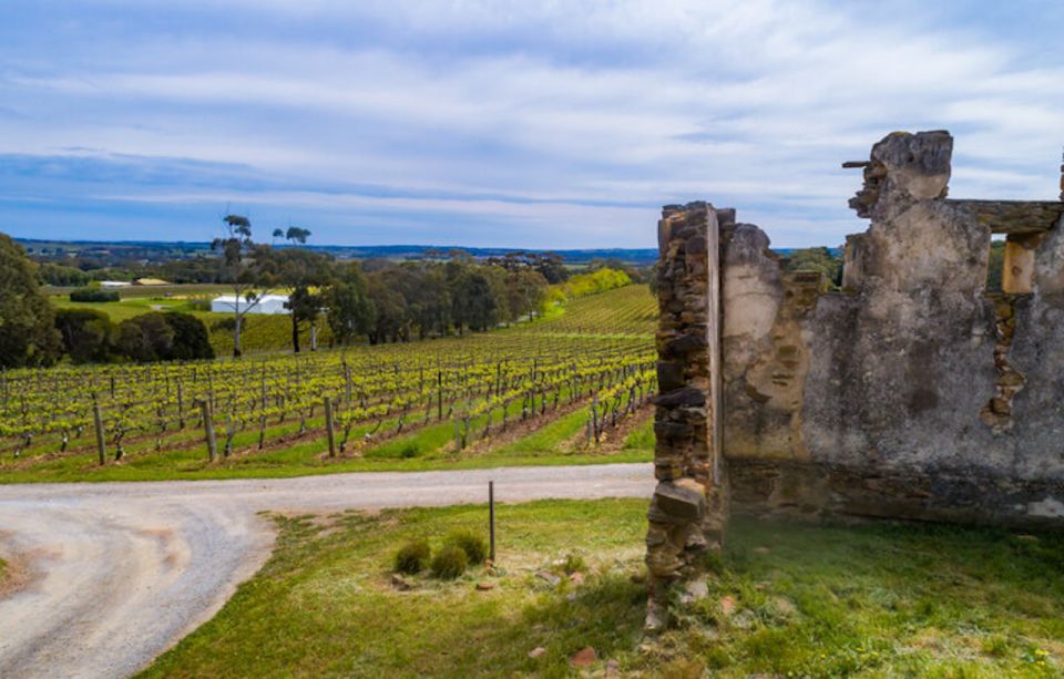 McLaren Vale: E-Bike Rental to Explore the Vineyards - Vineyard Exploration Features
