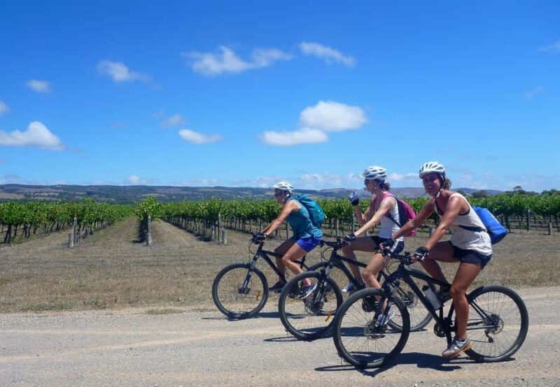 Mclaren Vale Hills Vines and Wines Bike Tour from Adelaide - Exploring McLaren Vale Hills, Vines, and Wines by Bike: A Genuine Guide