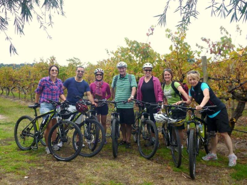 Mclaren Vale Hills Vines and Wines Bike Tour from Adelaide - What Makes This Tour Stand Out
