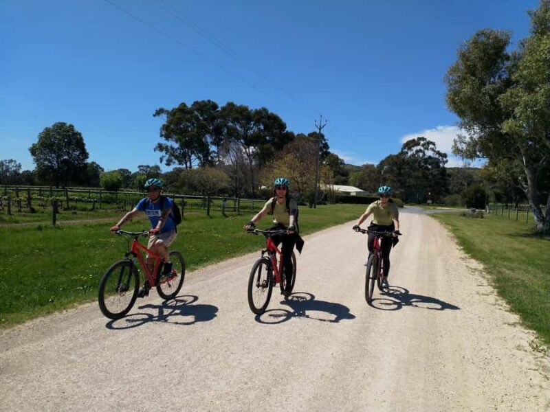 Mclaren Vale Hills Vines and Wines Bike Tour from Adelaide - The Practical Details