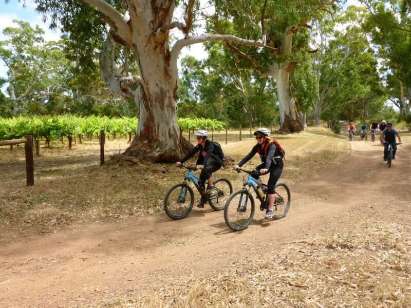 Mclaren Vale Hills Vines and Wines Bike Tour from Adelaide - The Sum Up