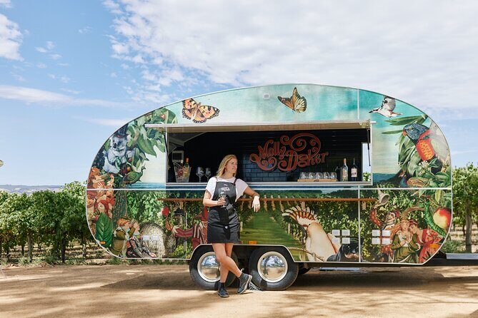 McLaren Vale North Hop-On Hop-Off Wine Tour - The Experience of the Wineries and Stops