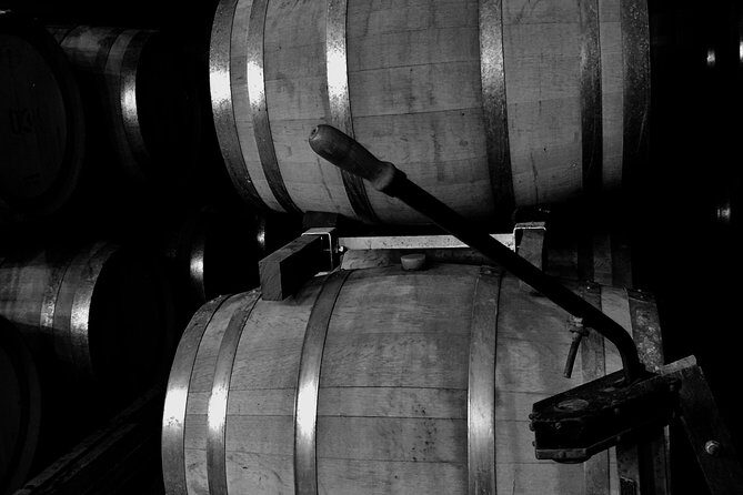 McLaren Vale Shared Tour, visit 4 wineries . Best itinerary. - Who Will Love This Tour?