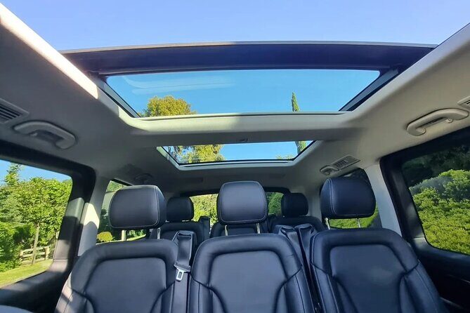 McLaren Vale Small Shared Tour with Wine Tasting and Lunch - An In-Depth Look at the Tour Itinerary