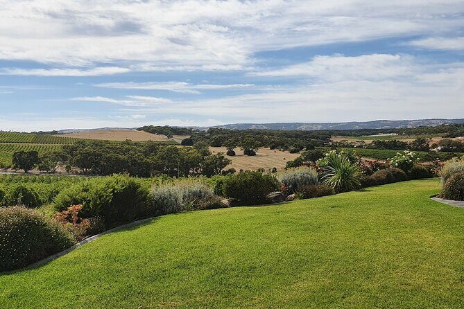 McLaren Vale Small Shared Tour with Wine Tasting and Lunch - Who Will Love This Tour?