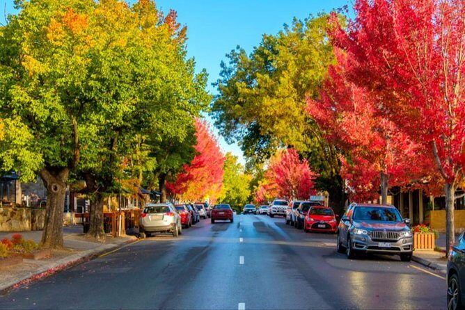 McLaren Vale Wine Region via Hahndorf Full-Day Tour from Adelaide - Who Might Want to Consider Alternatives?