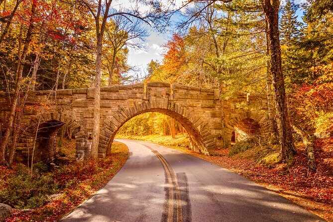 MDI Private Discovery Tour - Explore Beyond Acadia (five hours) - Key Points