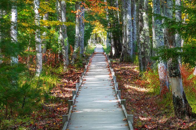 MDI Private Discovery Tour - Explore Beyond Acadia (five hours) - Final Thoughts: Is It Worth It?