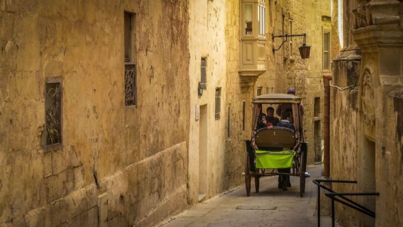 Mdina Private Walking Tour - Guided Tour Features