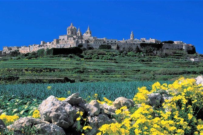 Mdina, Rabat, Dingli cliffs, San Anton gardens, Ta' Qali & Mosta guided tour - Key Points
