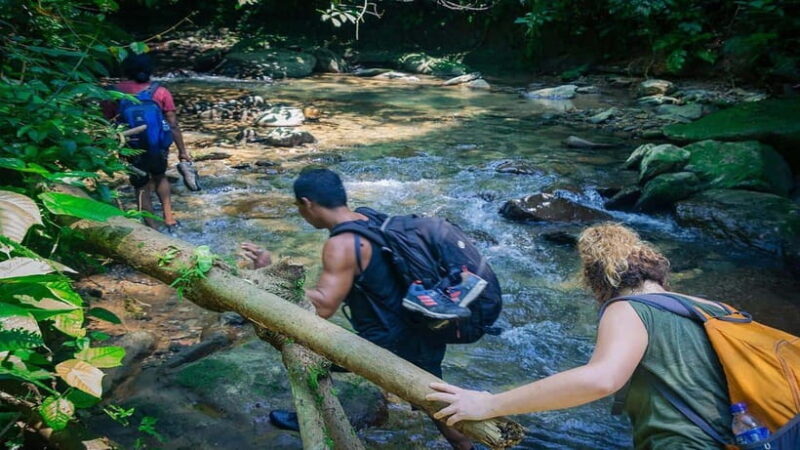 Medan Day Tour: Bukit Lawang Orangutan Trekking - Key Points