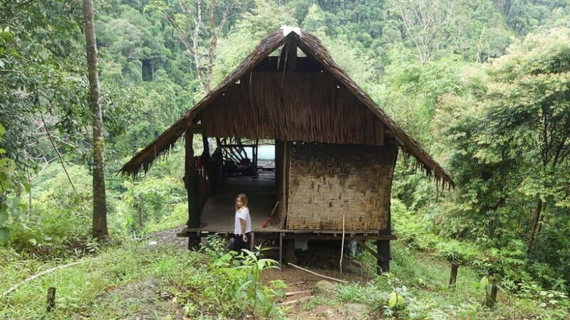 Medan Day Tour: Bukit Lawang Orangutan Trekking - What’s Included and What to Budget For