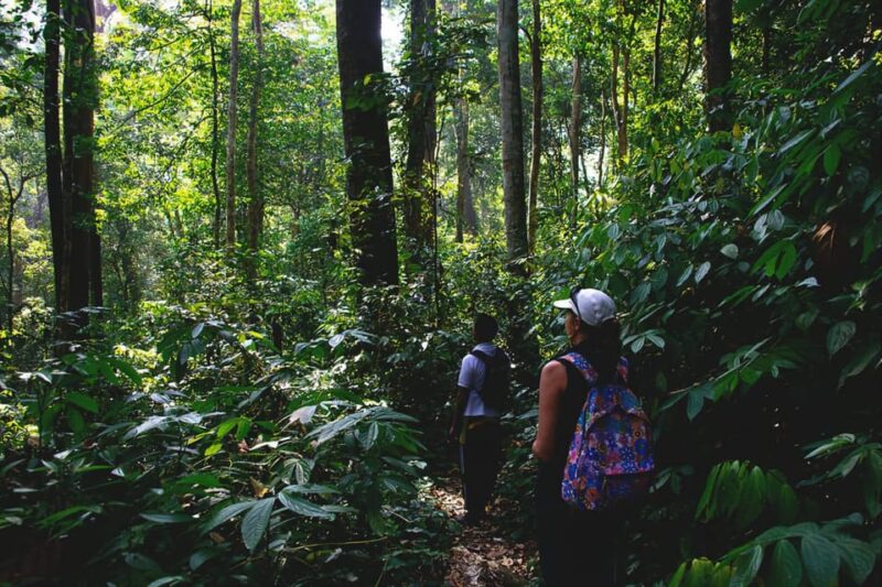 Medan: in the Jungle of Mount Leuser National Park Day Trip - Inclusions and Amenities