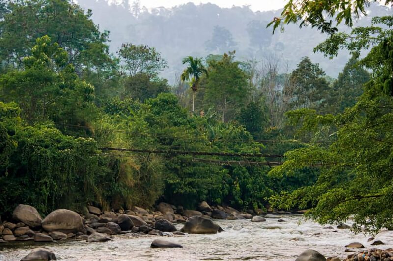 Medan: in the Jungle of Mount Leuser National Park Day Trip - Scenic Drive Through Plantations
