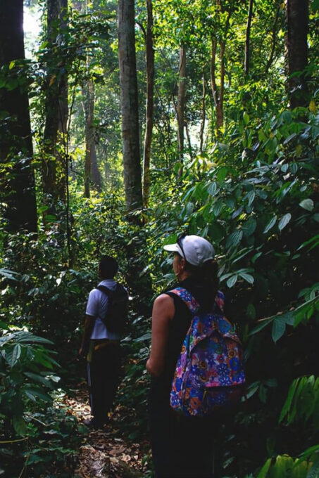 Medan: in the Jungle of Mount Leuser National Park Day Trip - Frequently Asked Questions