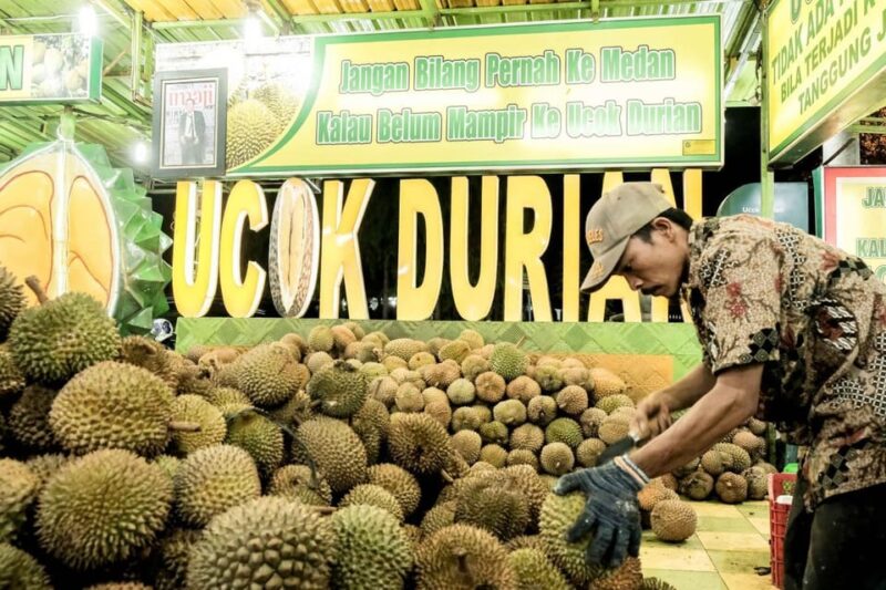 MEDAN : PRIVATE CAR DRIVER FOR MEDAN EXCURSIONS - Whats Included