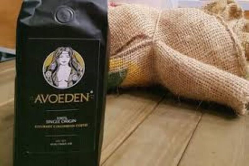 Medellin: Avoeden Café Coffee Brewing Workshop - Key Points