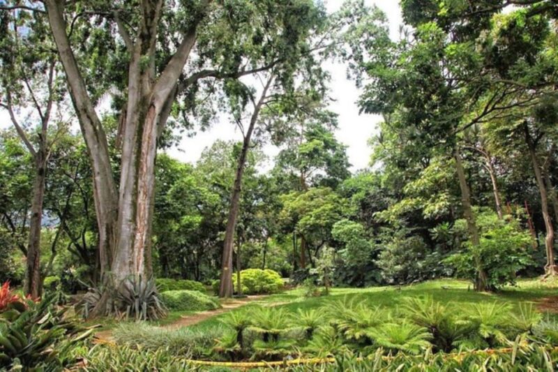 Medellín: Botanical Gardens Half-Day Tour - Customer Experience and Reviews