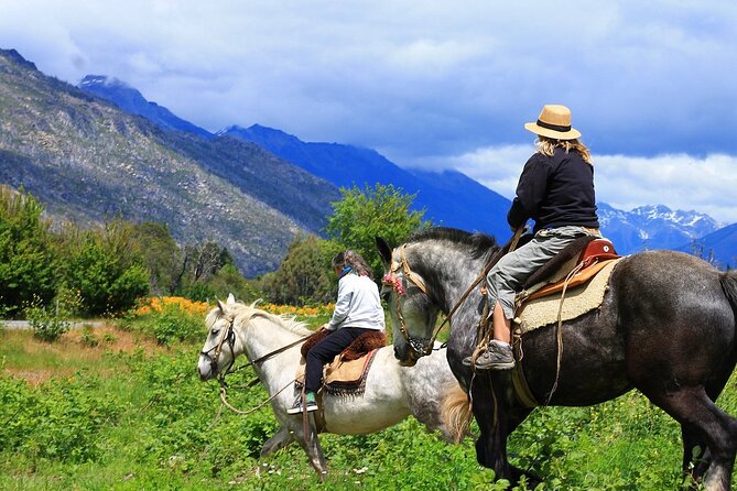 Medellin: Horseback Riding Adventure In Nature (Dont Overpay) - Customer Reviews and Feedback