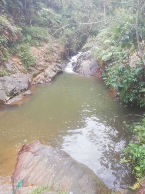 Medellín, One Day Adventure at Arvi Park - Key Points