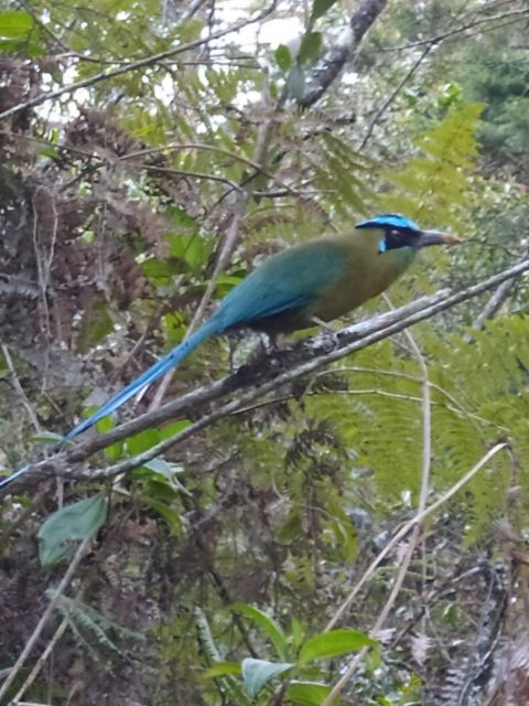 Medellín, One Day Adventure at Arvi Park - Itinerary Details