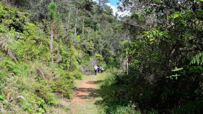 Medellín, One Day Adventure at Arvi Park - Local Food Recommendations