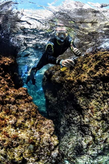 Medes Islands: Snorkeling at the beautiful Nature Park - Key Points