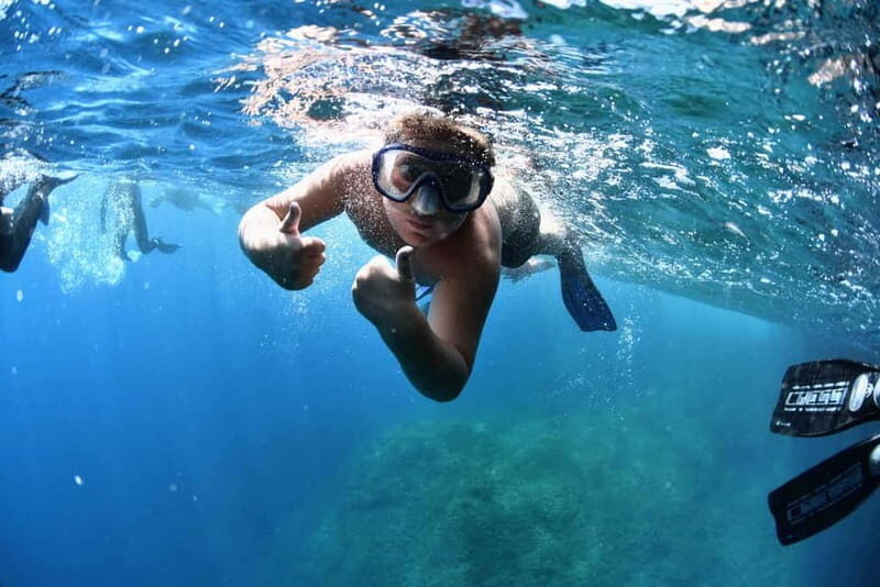 Medes Islands: Snorkeling at the beautiful Nature Park - The Experience: What to Expect on Your Snorkeling Tour