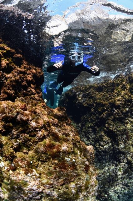 Medes Islands: Snorkeling at the beautiful Nature Park - The Price and Its Value