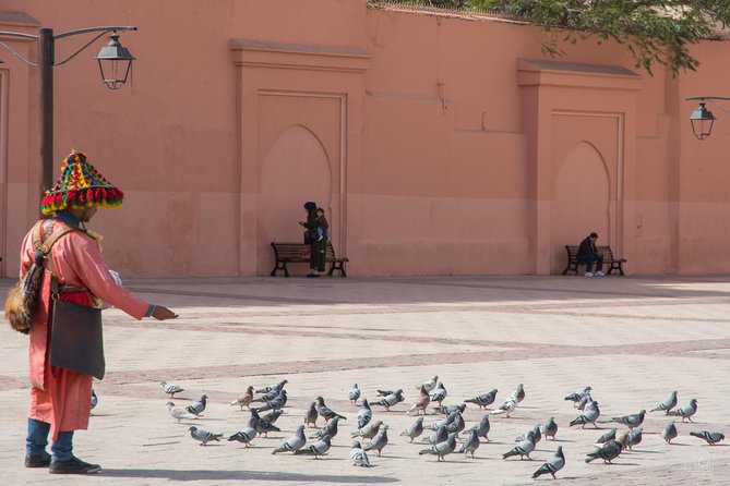 Medina of Marrakech Walking Tour - Guided Experience Insights
