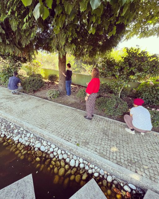 Meditation Experience at a Lovely Farm in Porto (private) - Booking and Availability