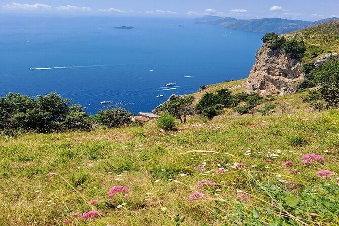 Mediterranean Dinner in Positano at Nonna Colomba's Cellar - Who Will Love This Experience?