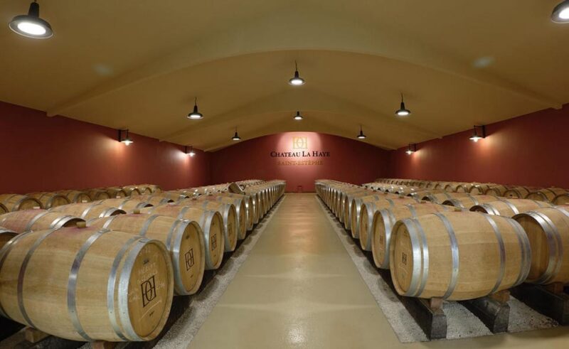 Medoc and Libournais (Left and Right Bank) - Visiting a Medoc Estate