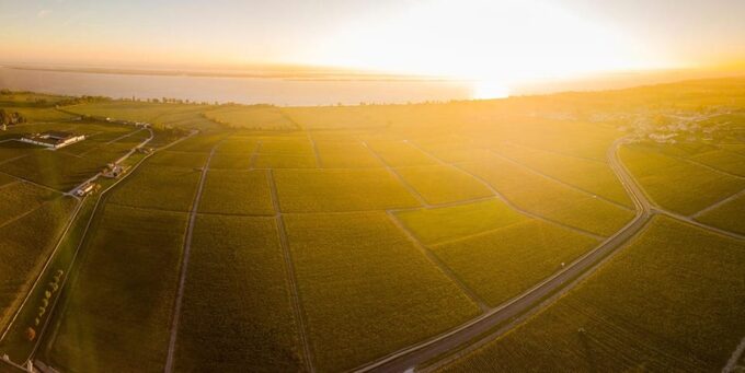 Medoc and Libournais (Left and Right Bank) - Wine Tasting and Vineyard Tours