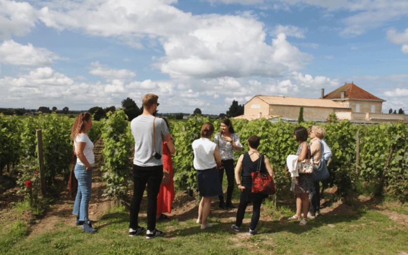 Médoc Morning Wine Tour - Winery & Tastings - Key Points